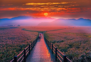 Suncheon-bukten, Yeosu