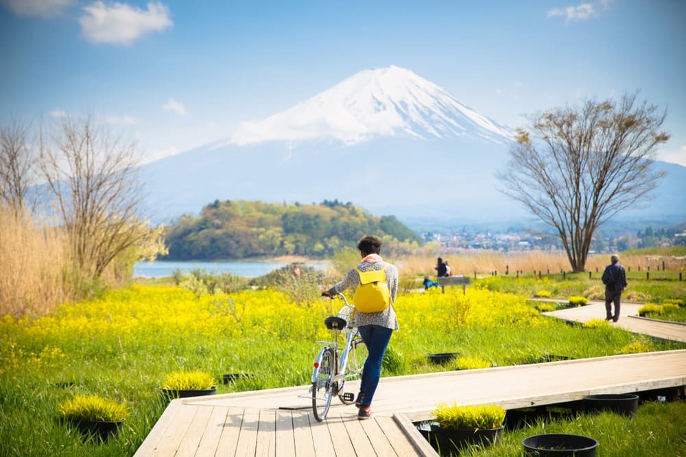 Fuji-fjellet med snø og blomsterhage langs trebroen ved Kawaguchiko-sjøen i Japan