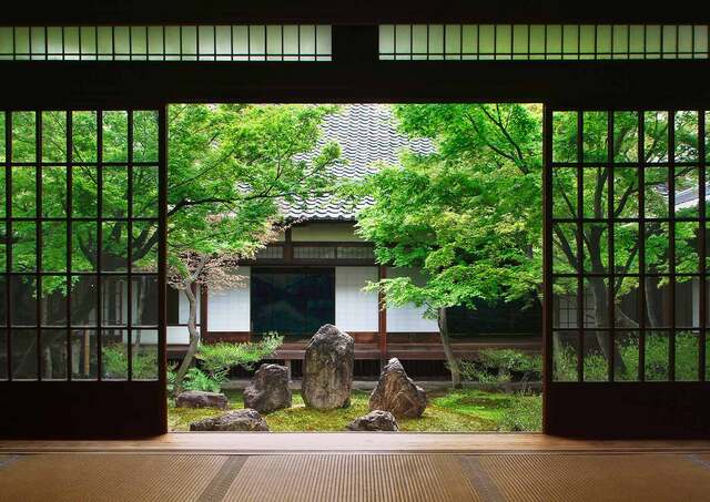 Japanske hager i Kyoto