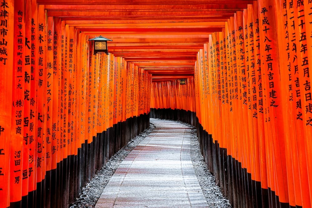 Omotenashi-gudstjenesteFushimi Inari-helligdommen i Kyoto, Japan, med tusenvis av oransjefargede torii-porter