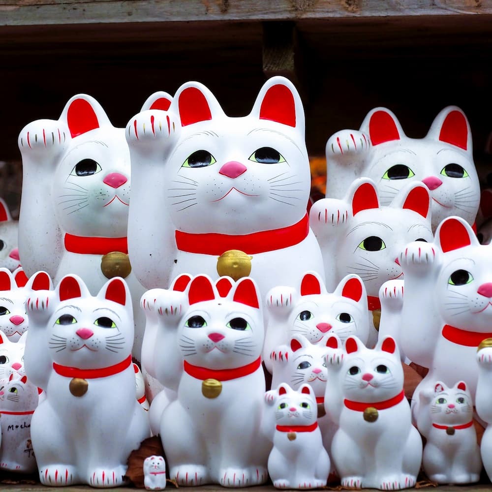 Maneki-neko lykkekatter ved Goutokuji-helligdommen, Tokyo, Japan