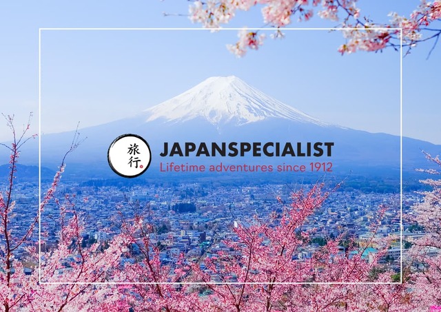 Japanspecialist - Rebrand 