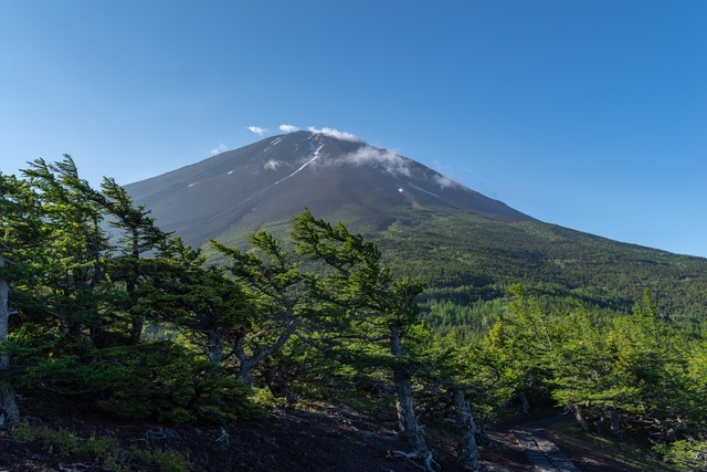 Utsikt over Fuji-fjellet fra 5. stasjon