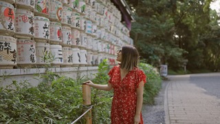 Meiji Shrine, Harajuku