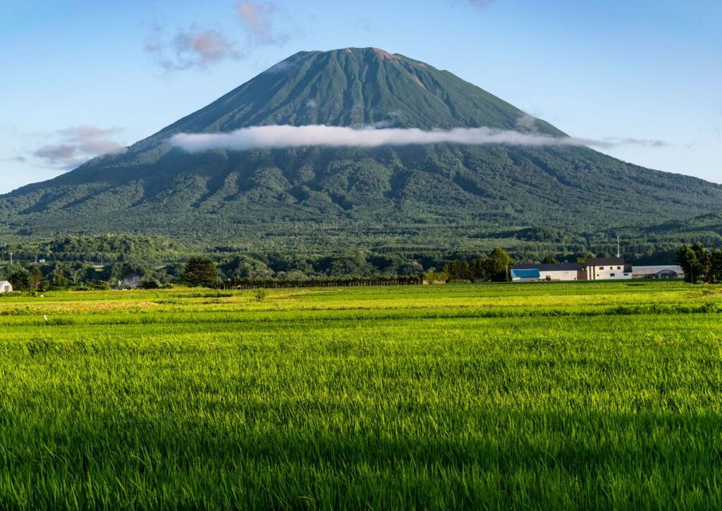 Mt. Yotei med risåkre i Hokkaido