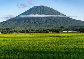 Mt. Yotei med risåkre i Hokkaido
