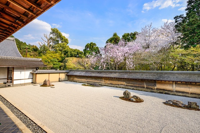 Ryoan-ji-tempelet sin zenbuddhistiske steinhage 