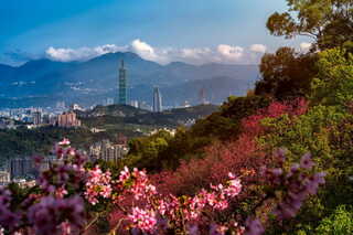 Vårpanorama over Taipei med skyskrapere 