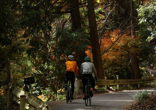 syklister i Kyoto