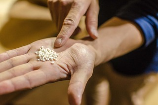 Tørkede sporer som brukes i sakeproduksjon 